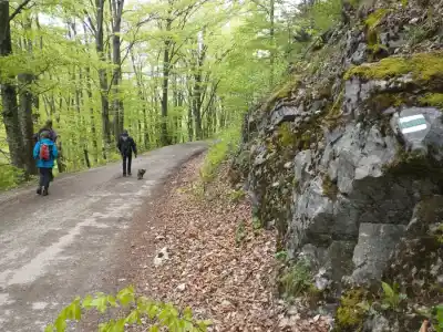 štartujeme zo STráňav