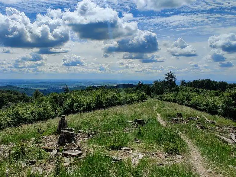 Trail Secret Pezinská Baba