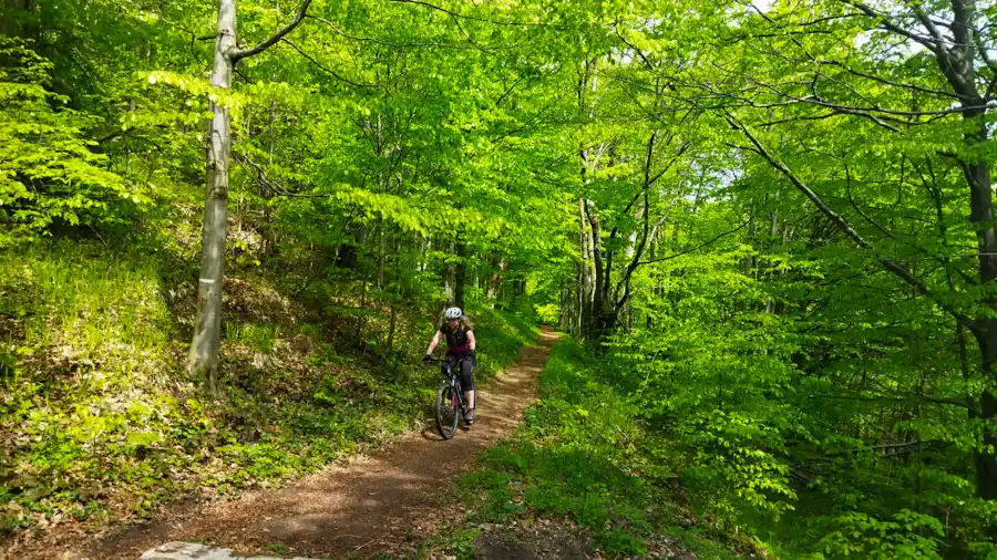 Bicyklom na VN Starina