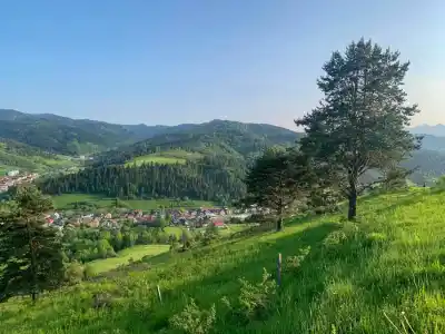 Okolo Malého Lipníka