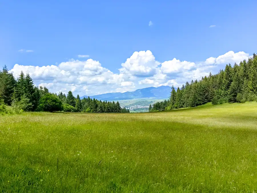 Ružomberok z Iľanovských lúk