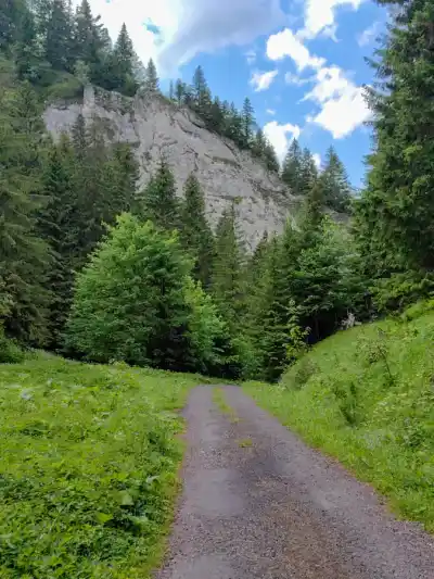 Skalná stena Iľanovsej doliny