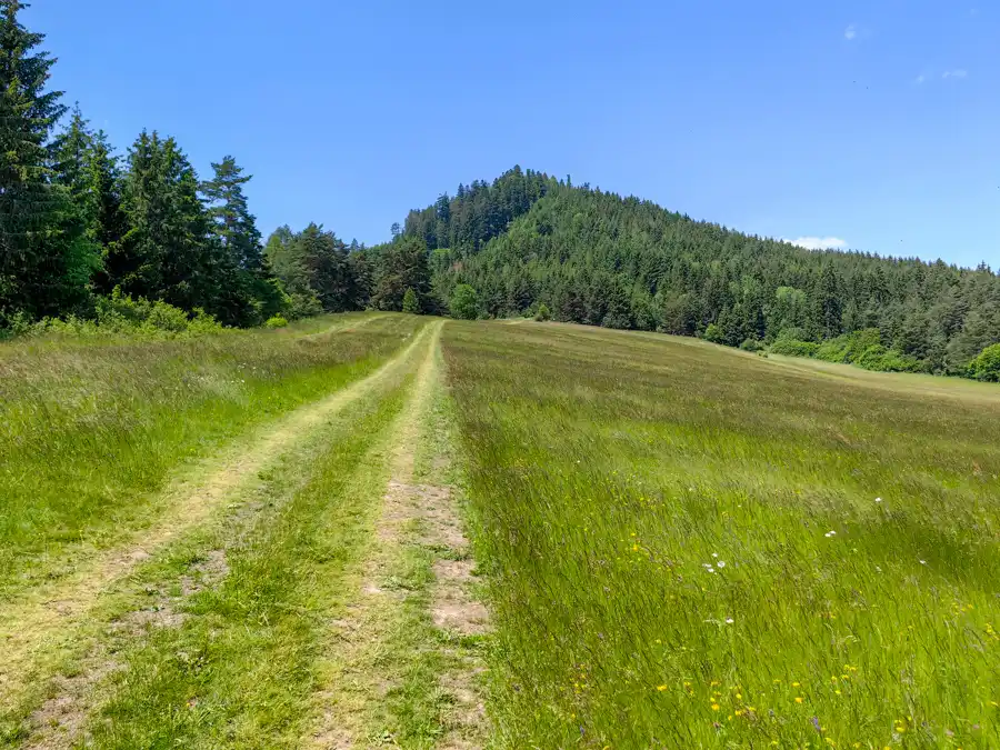 Cyklotrasa z Liptovského Jána do Závažnej Poruby