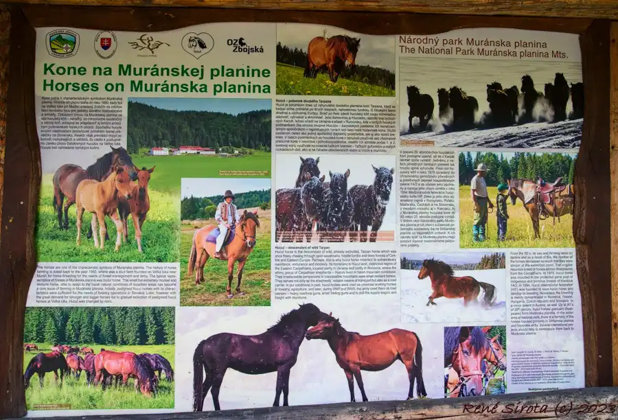 Informačná tabuľa o Huculských koňoch
