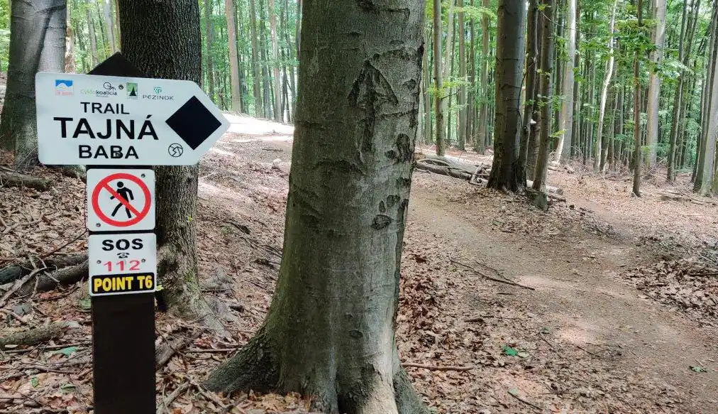 Tajná MTB singletrail na Pezinskej Babe