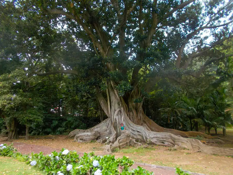 José do Canto Garden