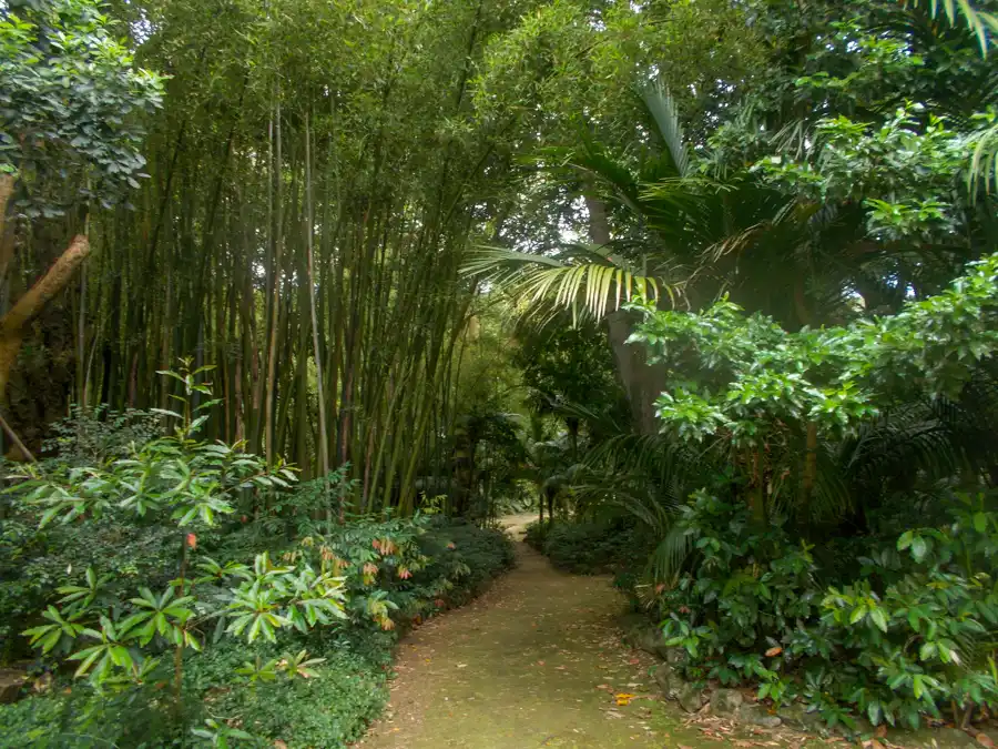 José do Canto Garden