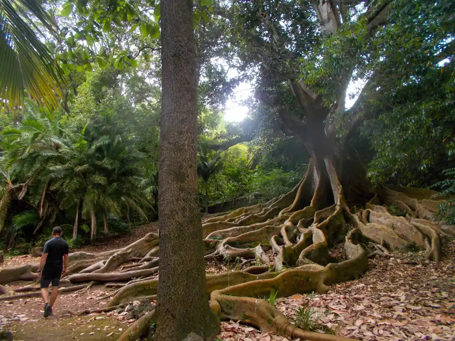 José do Canto Garden