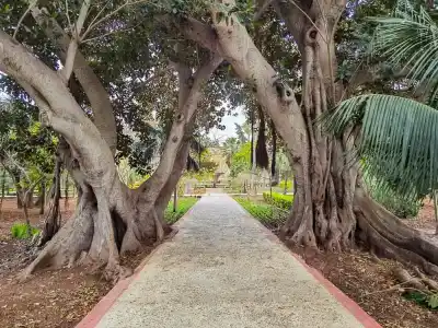 Zákutia San Anton Garden
