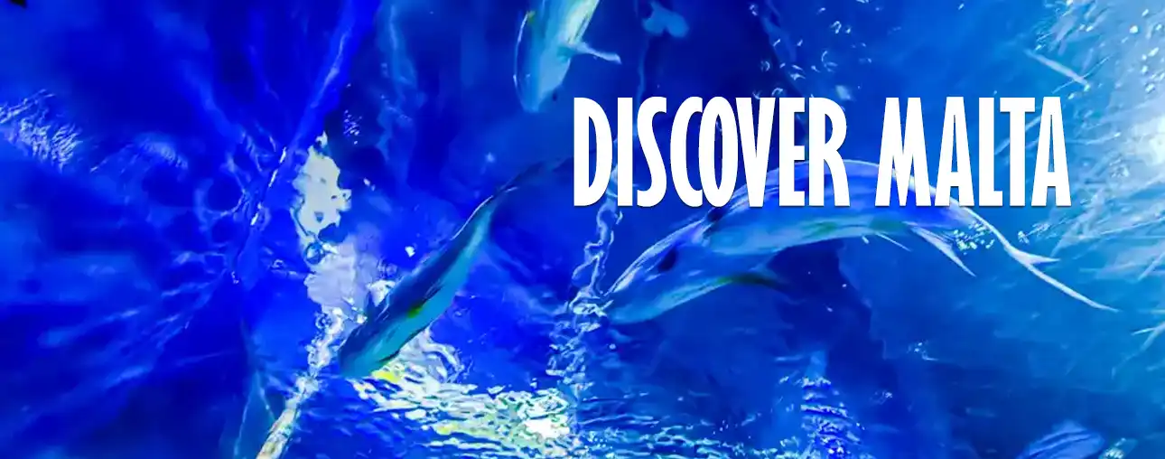 Discover Malta