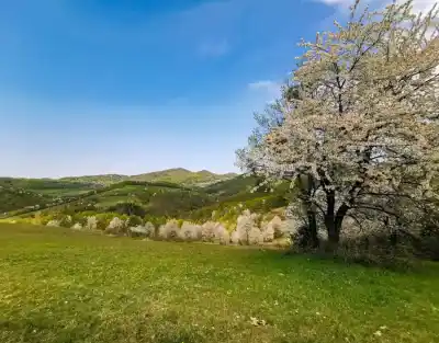 Jarná nálada Kopaníc