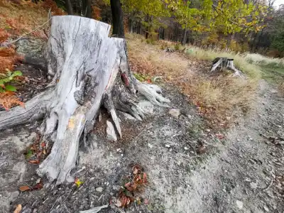 Jesenné túlačky MTB pod Bieleným vrchom