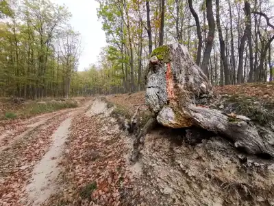Jesenné túlačky MTB pod Bieleným vrchom