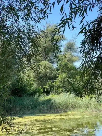 Splav po ramenách Dunaja