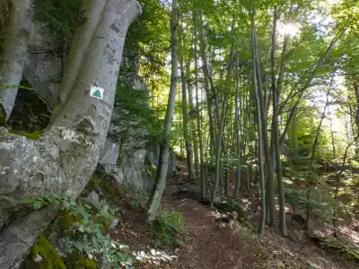 Náučný chodník Dolná Hora