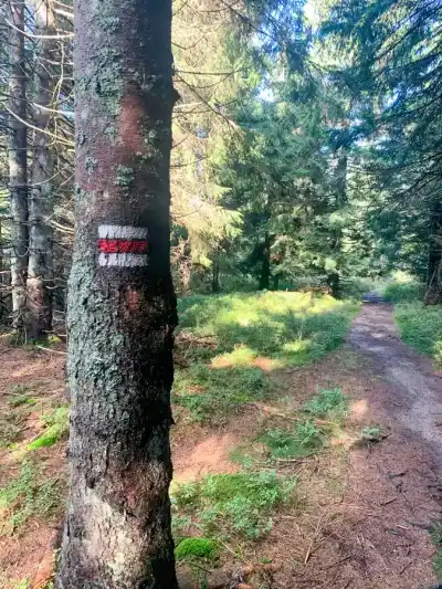 Polom a Minčol na bicykli