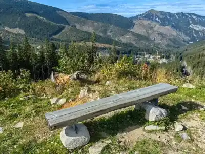 Zátišie s troma žeriavmi