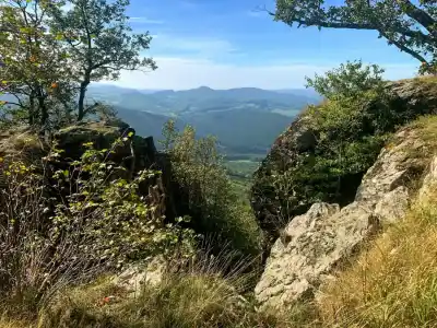 Žarnov