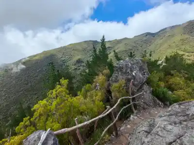 Miradouro do Picaroto