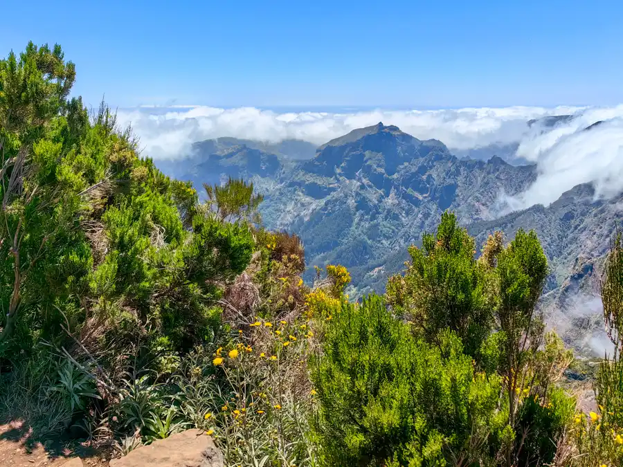 Madeira
