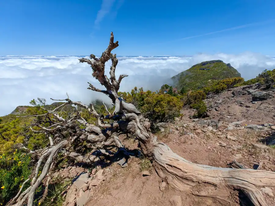Hiking Pico Ruivo