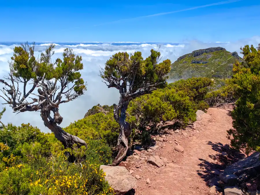 Hiking Pico Ruivo
