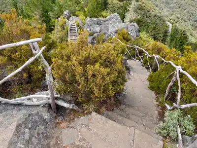 Miradouro do Picaroto