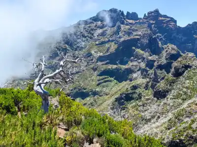 Pohľad na Pico des Torres