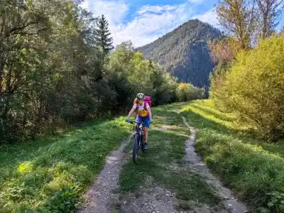 Singláč popri Váhu