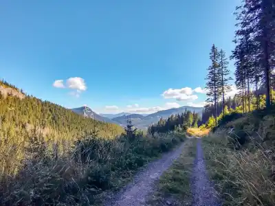 Pohľad z popod Tanečnice na Svidovské sedlo