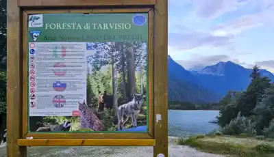 NP Tarvisio