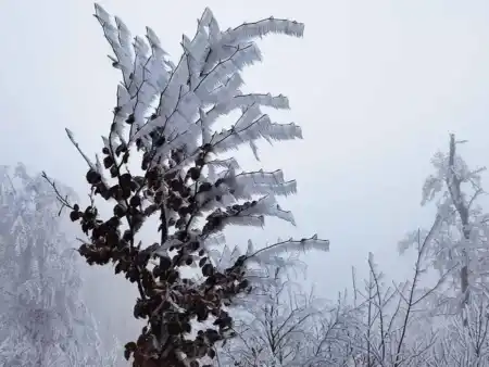 Jesenný výstup na Marhát