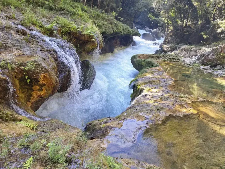 Guatemalská džungľa
