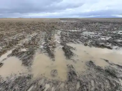 Estetika burgyňového poľa