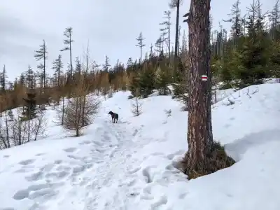 Magistrála Hrebienok Velické pleso