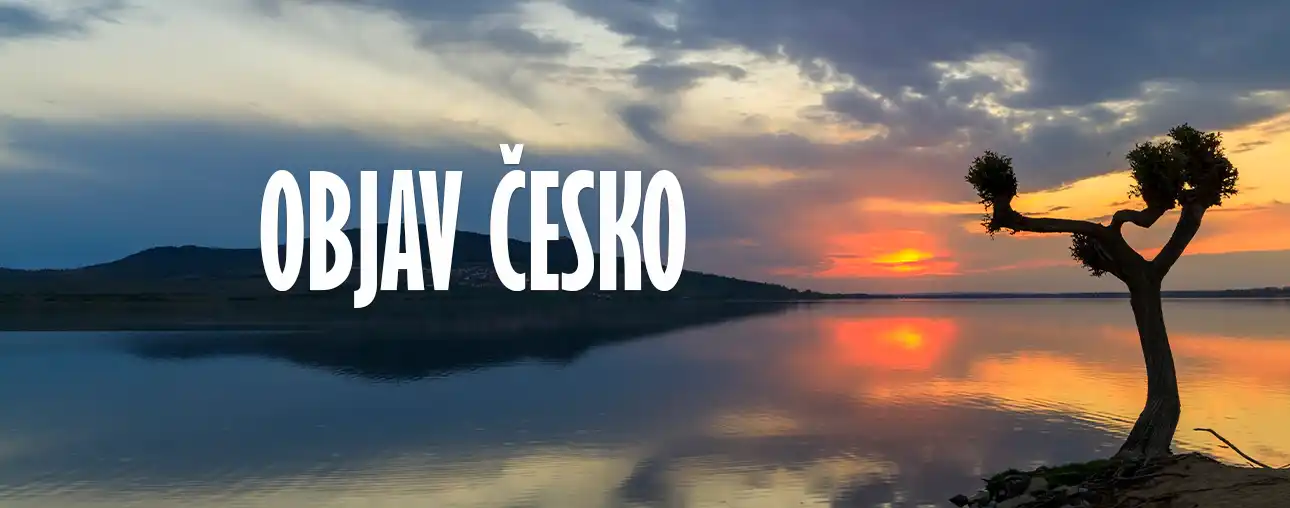 Objav česko