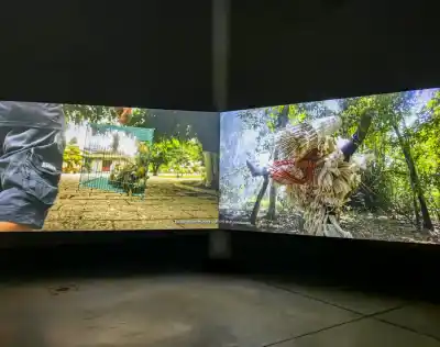 Zvířecí spravodajství