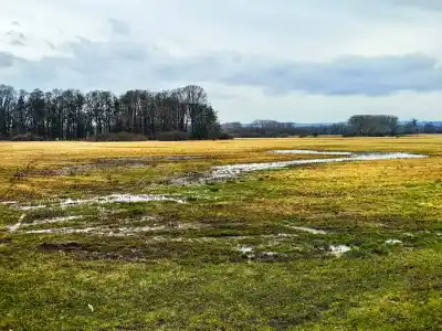 Zámecký náučný chodník