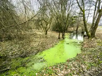 Zámecký náučný chodník