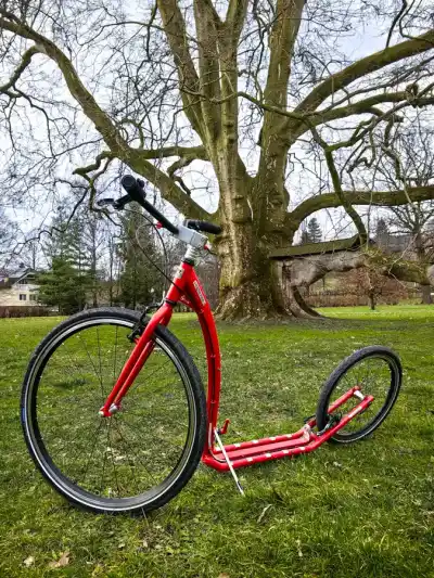 Selfie pri historickom Platane