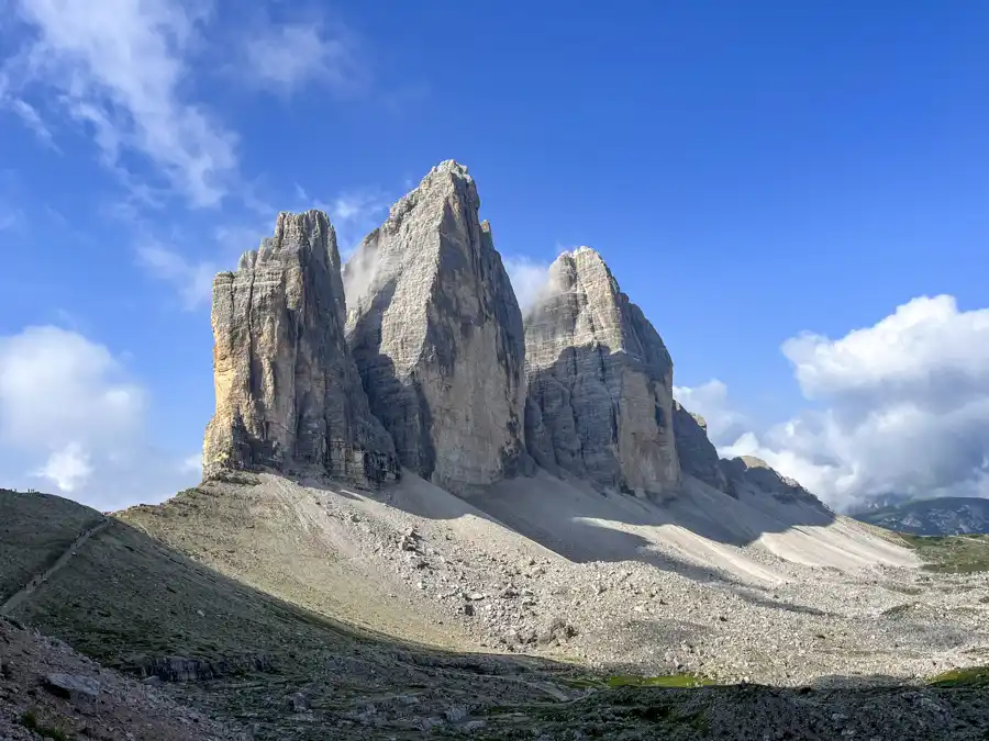 Tree Cime