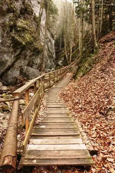 Drevené lávky v rokline