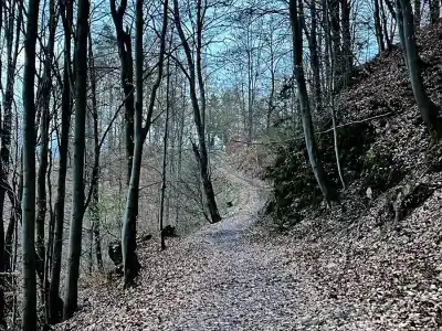 Rozhľadňa na Veľkom vrchu