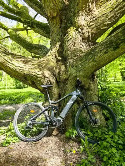 Hajná nov Ves zámocký park