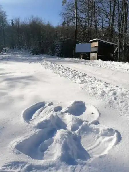 Zimní rajskí anjeli