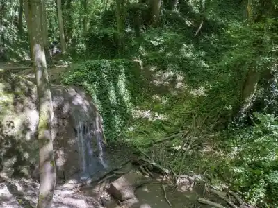 Haluzická tiesňava