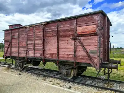 Birkenau vozne