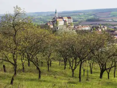 Mikulov