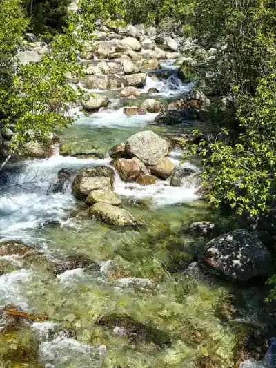 Tatranská Magistrála