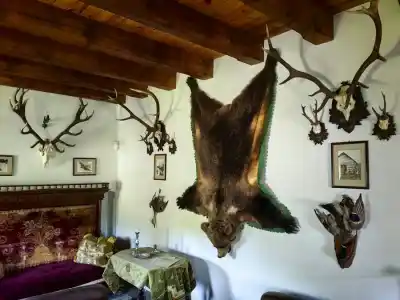 Kaštieľ z Parížoviec: